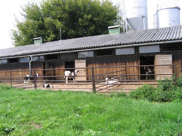 Troubelice 2006 028.jpg